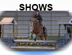 SHOWS